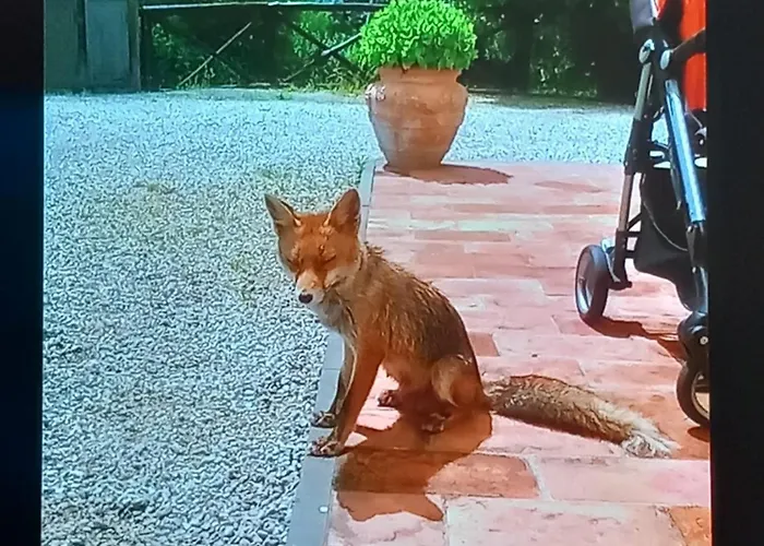 Da Nonna Argia Gospodarstwo agroturystyczne Massa e Cozzile