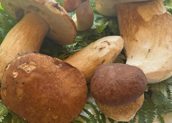 Da Nonna Argia *