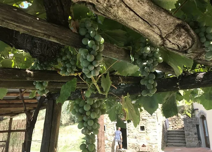 Gospodarstwo agroturystyczne Da Nonna Argia Massa e Cozzile